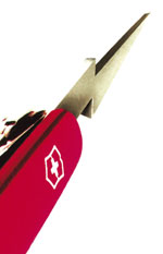 swiss_t